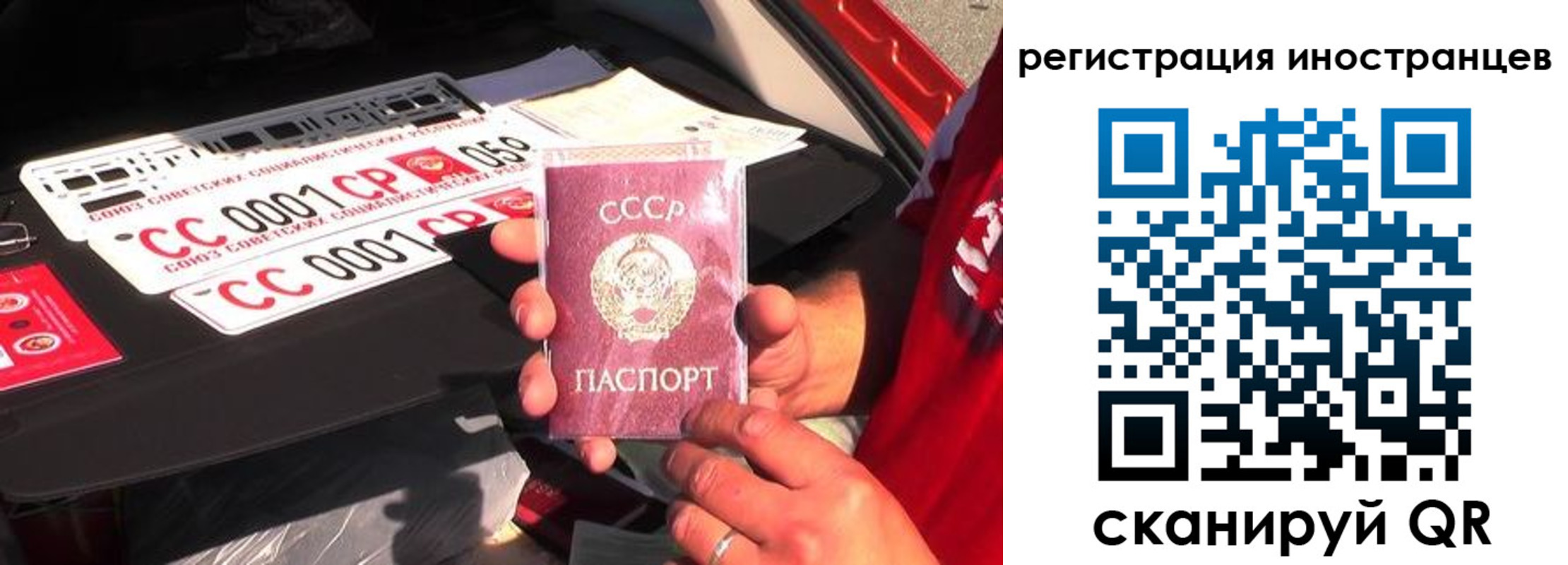 прописка гарантия в Новоульяновске